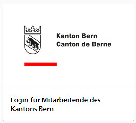 Bild Sektor IDP Mitarbeitende des Kantons Bern